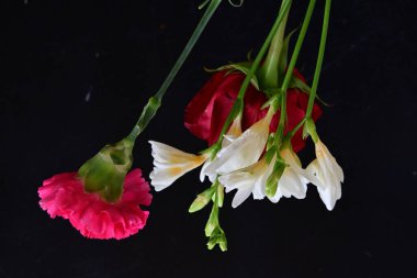 güzel karanfil, frezya ve gül koyu arkaplanda, yakın görüş