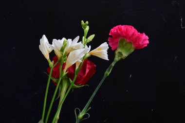 güzel karanfil, frezya ve gül koyu arkaplanda, yakın görüş