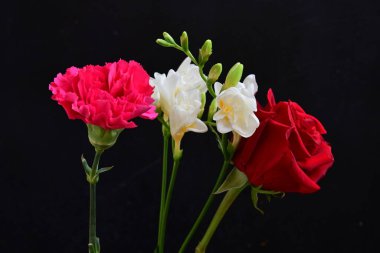 güzel karanfil, frezya ve gül koyu arkaplanda, yakın görüş