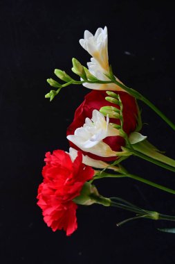 güzel karanfil, frezya ve gül koyu arkaplanda, yakın görüş