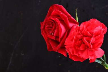 Arka planda çiçek açan güzel çiçeklerin yakın görüntüsü