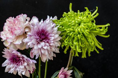 Stüdyonun arka planında bir buket çiçeğin yakın görüntüsü