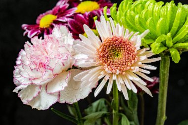 Stüdyonun arka planında bir buket çiçeğin yakın görüntüsü