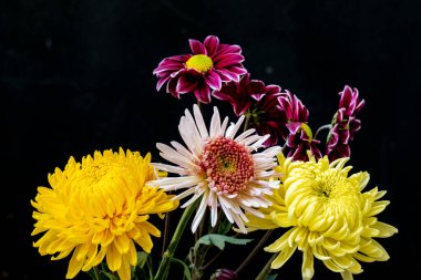 Siyah arka planda bir buket kasımpatı çiçeği.