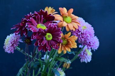 Siyah arka planda güzel bir buket çiçek. 