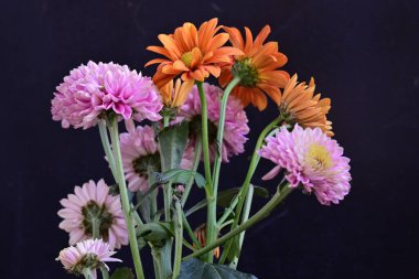 Siyah arka planda güzel bir buket çiçek. 