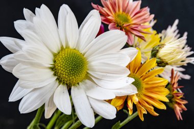 Karanlık bir arka planda güzel bir buket çiçek.