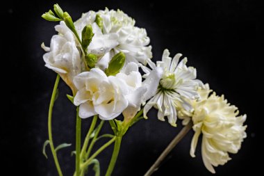 Karanlık bir arka planda güzel bir buket çiçek.