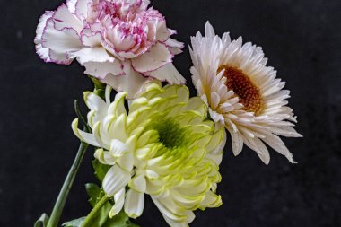 Koyu arkaplanda güzel çiçeklerin manzarasını kapat