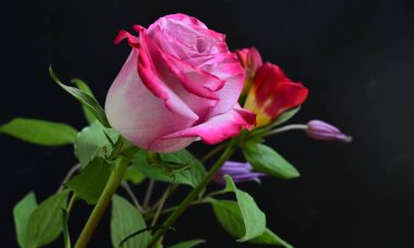 Karanlık bir arka planda güzel bir buket çiçek.