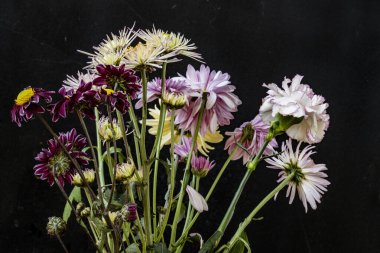 Karanlık bir arka planda güzel bir buket çiçek.