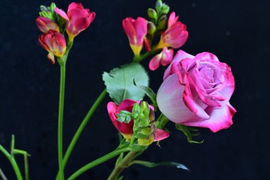 Karanlık bir arka planda güzel bir buket çiçek.