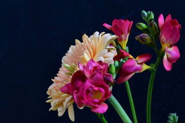 Güzel Gerbera ve koyu arkaplanda frezya çiçekleri 