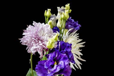 Siyah stüdyo arka planında güzel çiçekler