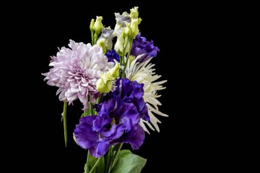 Siyah stüdyo arka planında güzel çiçekler