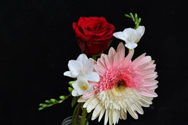 Gerbera, gül ve frezya çiçekleri siyah arkaplanda 