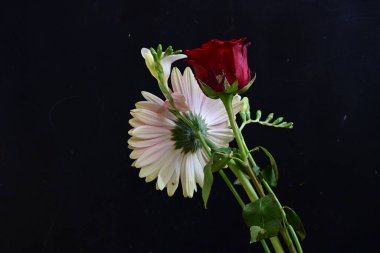 Gerbera, gül ve frezya çiçekleri siyah arkaplanda 