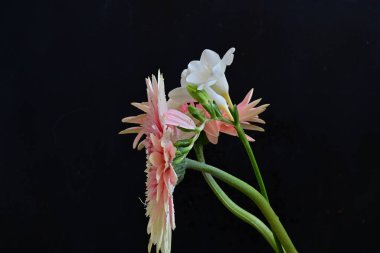 Güzel Gerbera ve koyu arkaplanda frezya çiçekleri
