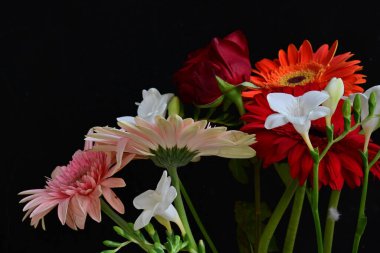 Siyah stüdyo arka planında güzel çiçekler