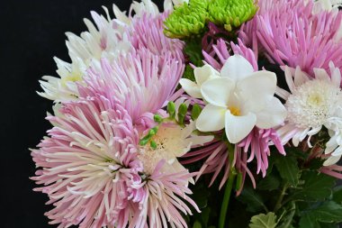 Bir buket kasımpatı ve siyah arkaplanda frezya.