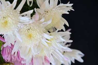 Kasımpatı desenli buket. Yaklaş.