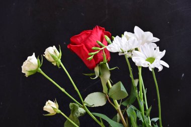 Siyah arka planda beyaz çiçekli kırmızı gül