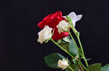 Siyah arka planda güzel bir buket çiçek.