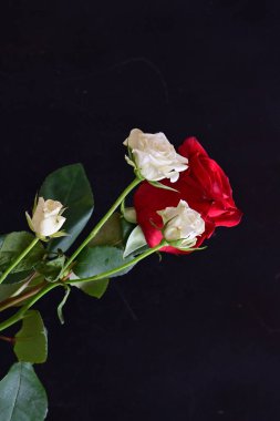 Siyah arka planda güzel bir buket çiçek.