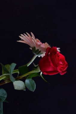 Siyah arka planda güzel bir buket çiçek.