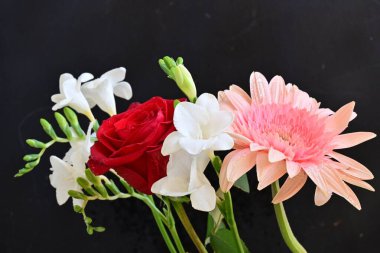 Siyah arkaplanda kırmızı gül, frezya ve gerbera