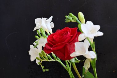 gül ve frezya çiçekleri siyah arkaplanda