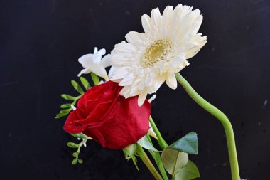 Güzel bir frezya buketi, gül ve gerbera çiçekleri siyah arka planda