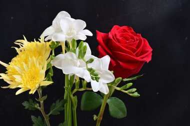 Siyah arka planda güzel bir buket çiçek, yaz konsepti. 