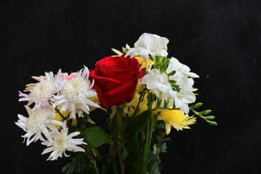 Siyah arka planda güzel bir buket çiçek.