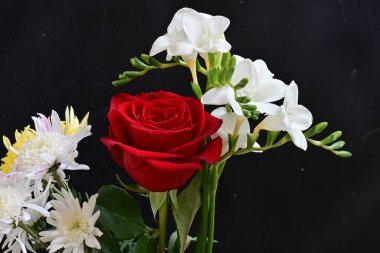 Siyah arka planda güzel bir buket çiçek.