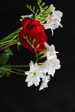 Koyu arkaplanda izole edilmiş güzel çiçeklerin yakın görüntüsü