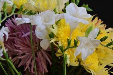 Siyah stüdyo arka planında izole edilmiş güzel çiçeklerin yakın görüntüsü