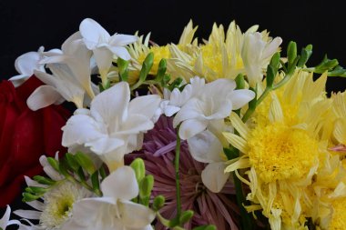 Siyah stüdyo arka planında izole edilmiş güzel çiçeklerin yakın görüntüsü