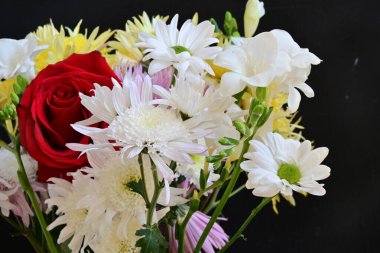 Siyah stüdyo arka planında izole edilmiş güzel çiçeklerin yakın görüntüsü