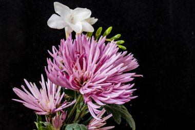 Karanlık bir arka planda güzel parlak çiçekler.