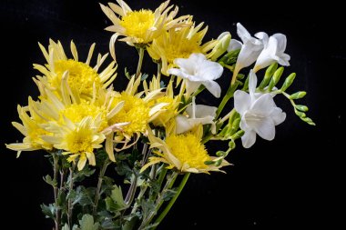 Karanlık bir arka planda güzel bir buket çiçek.