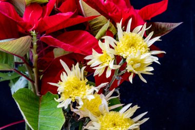 Karanlık bir arka planda güzel bir buket çiçek.