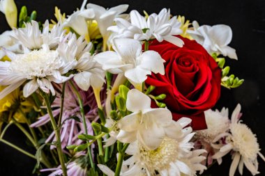 Karanlık bir arka planda güzel bir buket çiçek.