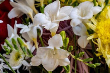 Karanlık bir arka planda güzel bir buket çiçek.