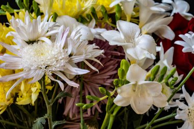 Karanlık bir arka planda güzel bir buket çiçek.