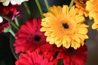 Karanlık bir arka planda güzel bir buket çiçek.