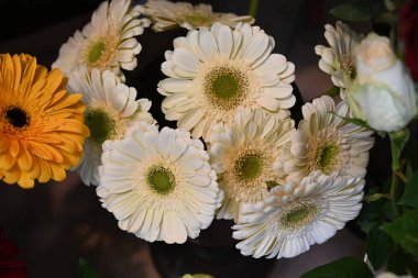 Karanlık bir arka planda güzel bir buket çiçek.