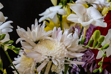 Karanlık bir arka planda güzel bir buket çiçek.