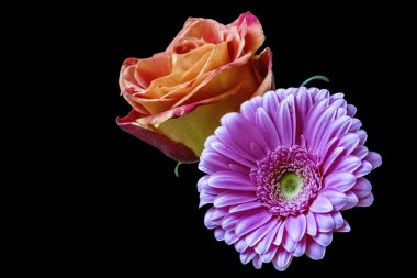 Karanlık bir arka planda güzel bir buket çiçek.