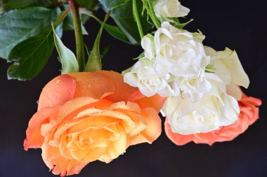 Siyah arka planda güzel bir buket gül çiçeği.